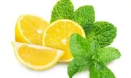 Natural Lemon and Mint flavor for Slim Boost Tea
